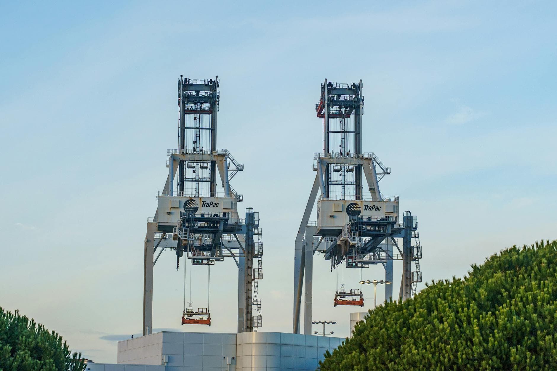 Ship-to-shore gantry cranes rising against a clear blue sky at a marine terminal.